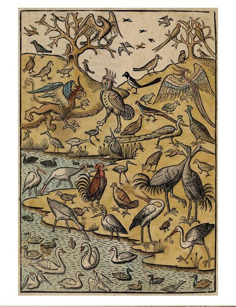 Pagina uit een vijftiende-eeuws boek van de Haarlemse drukker Jacob Bellaert